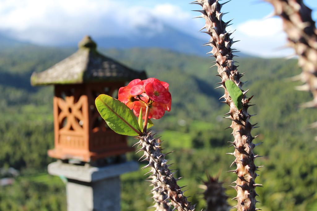 One Homestay And Warung Munduk Екстериор снимка